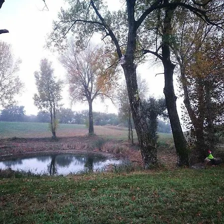 Homestay Akihouse - And On Garda Lake *